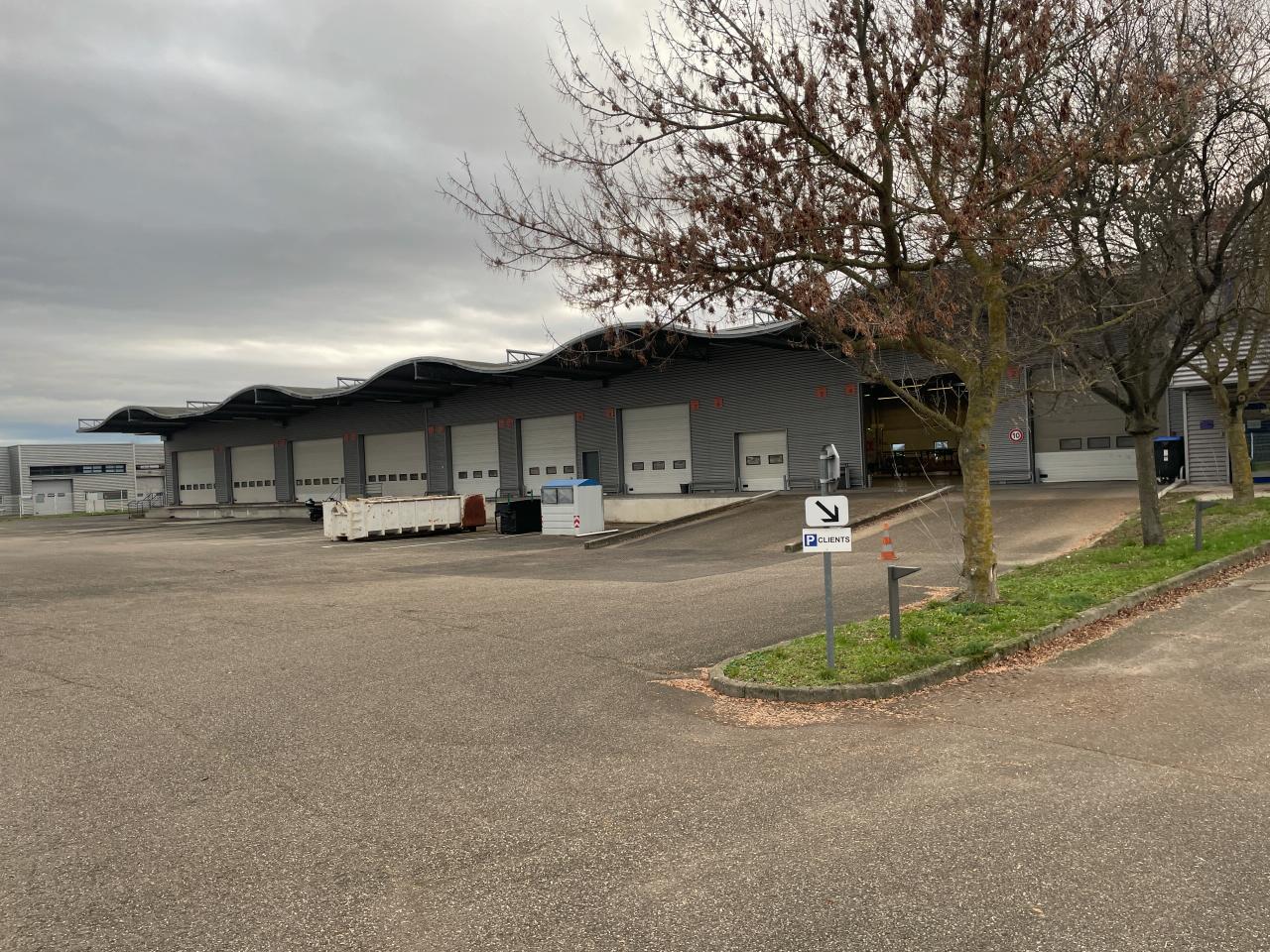 Local d'activité Souffelweyersheim 2994m² Vente Local d'activité Souffelweyersheim OVACT2529457 1