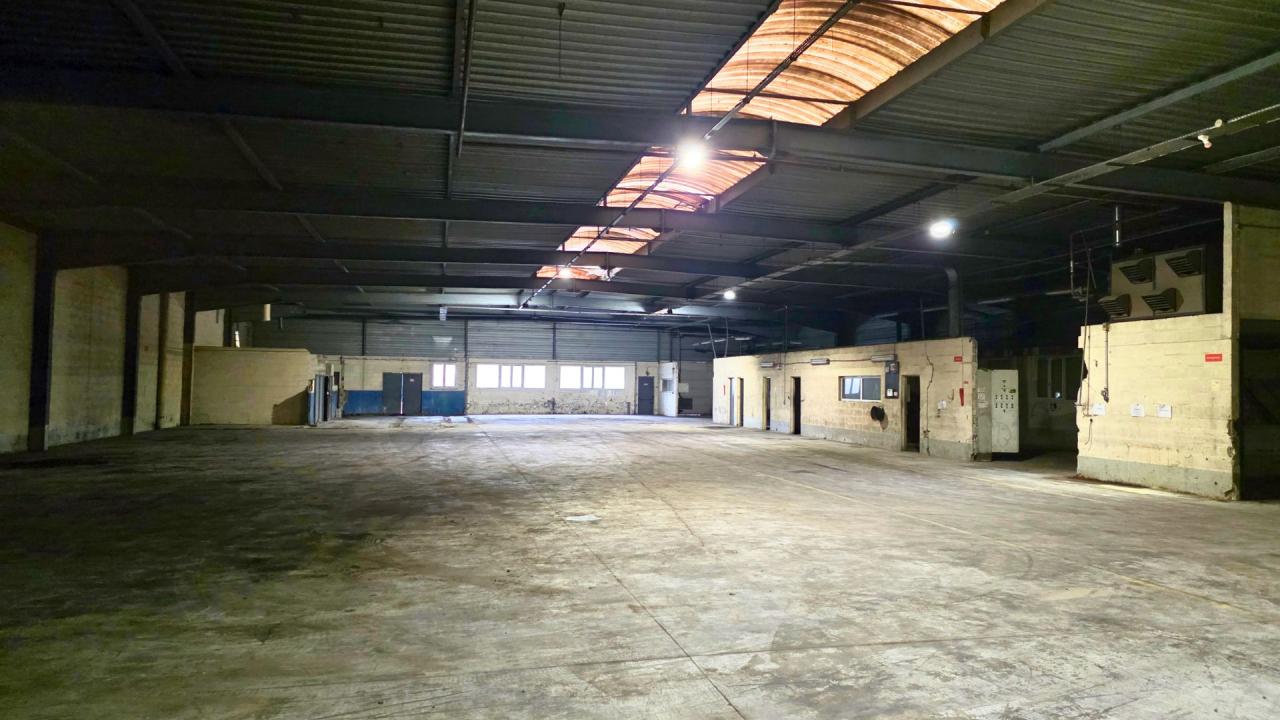 Vente Local d'activité Noisiel Seine-et-Marne OVACT2641322 1