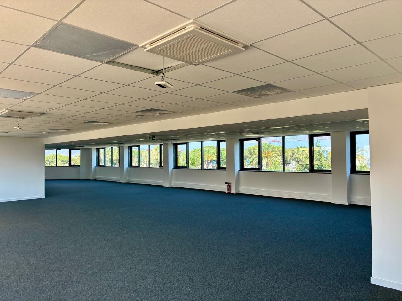 Bureau Nice 1745m² Location Bureau Nice OLBUR2427059