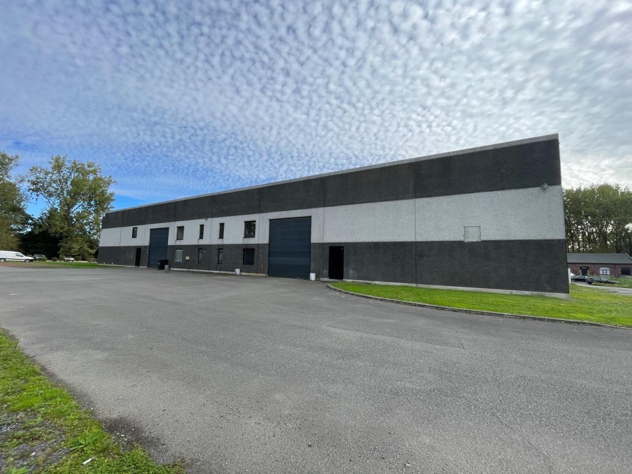 Local d'activité Templeuve 1160m² Location Local d'activité Templeuve Nord OLACT2645536