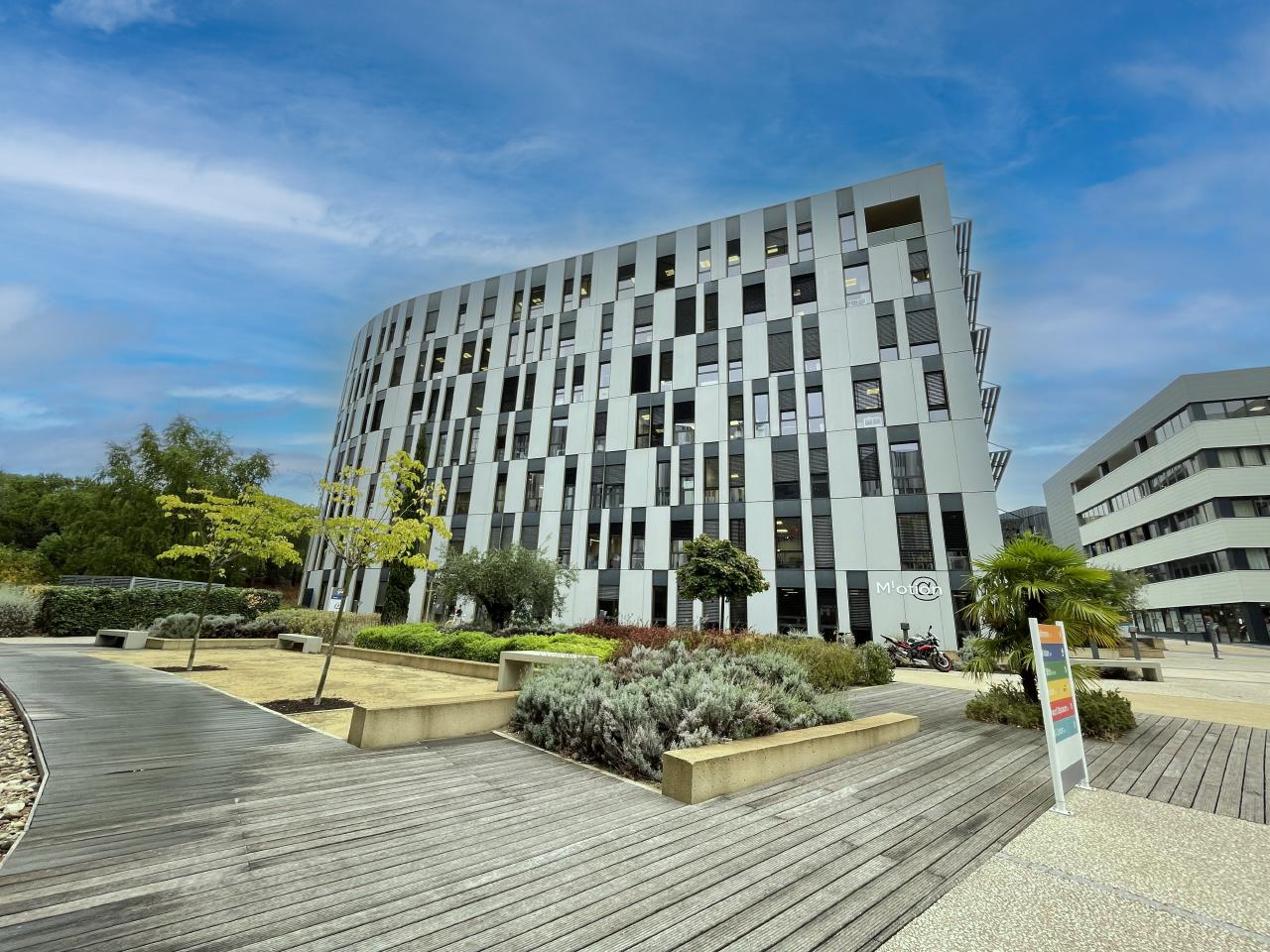 Location Bureau Montpellier Hérault OLBUR2423628 1