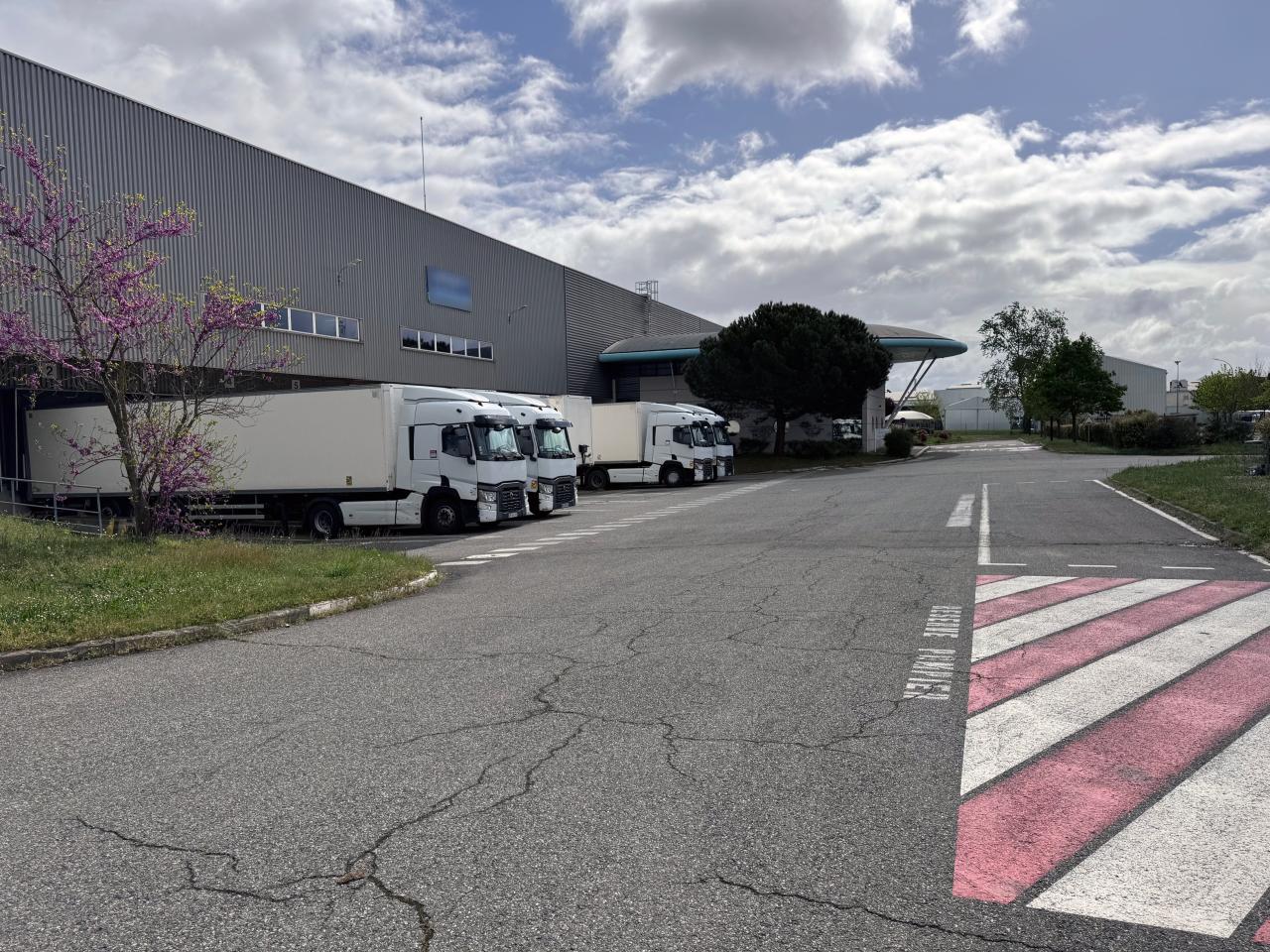 Location Entrepôt Classe A Tournefeuille Haute-Garonne OLLOG2422367 1