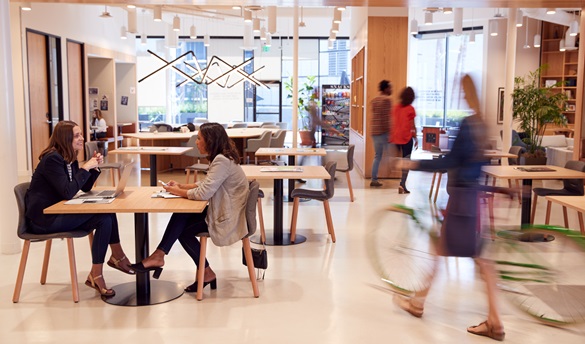 Accompagnement amélioration qualité de vie au travail
