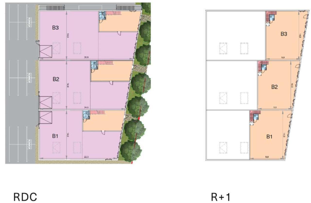 Location local d'activité Argenteuil Val-d'Oise OLACT2426448 2