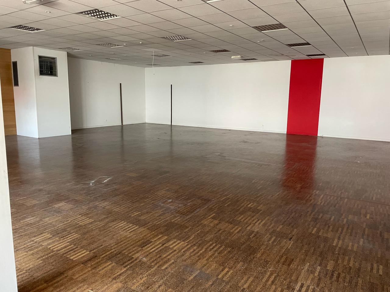 Location local d'activité Saint-Égrève Isère OLACT2531097 1