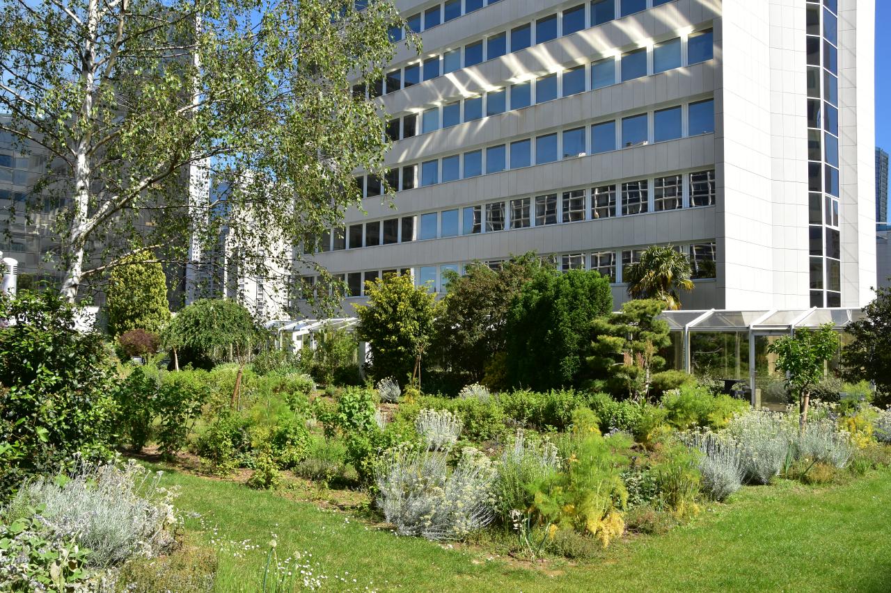 Location bureau Puteaux Hauts-de-Seine OLBUR2001024