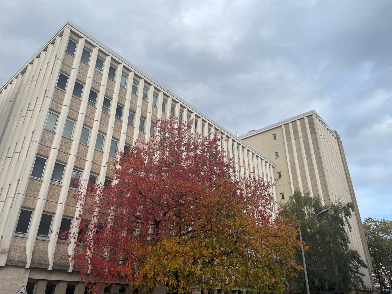 Vente bureau Orléans Loiret OVBUR2113185