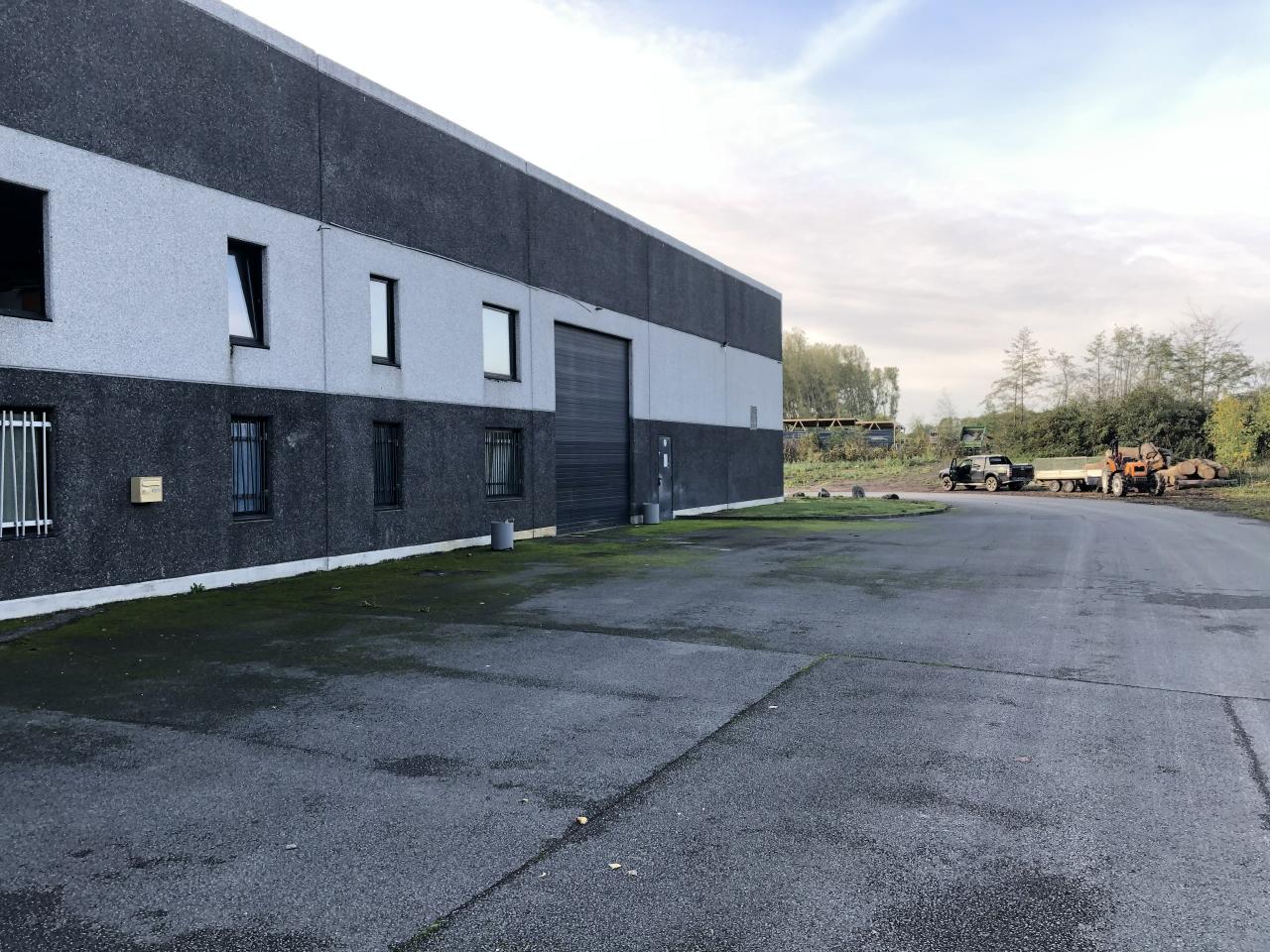 Location local d'activité Templeuve Nord OLACT2645536