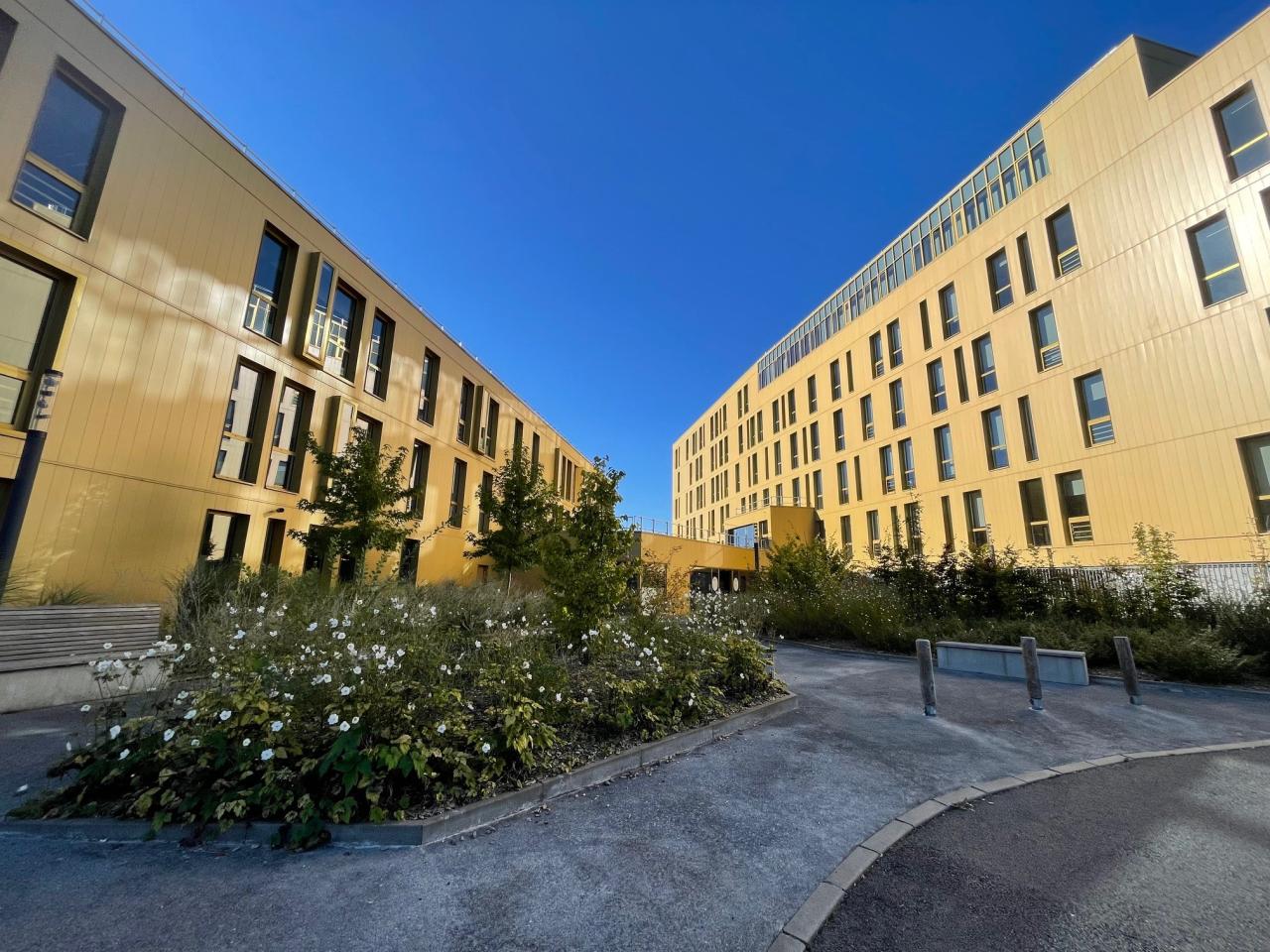 Location bureau Lezennes Nord OLBUR2426573