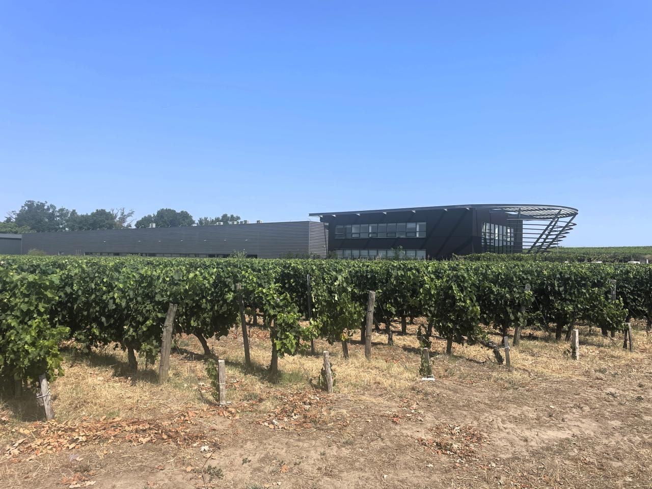 Vente local d'activité Saint-Émilion Gironde OVACT2643132