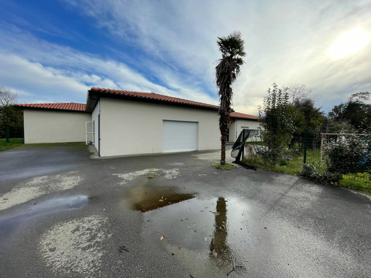 Vente bureau Toulouse Haute-Garonne OVBUR2528985