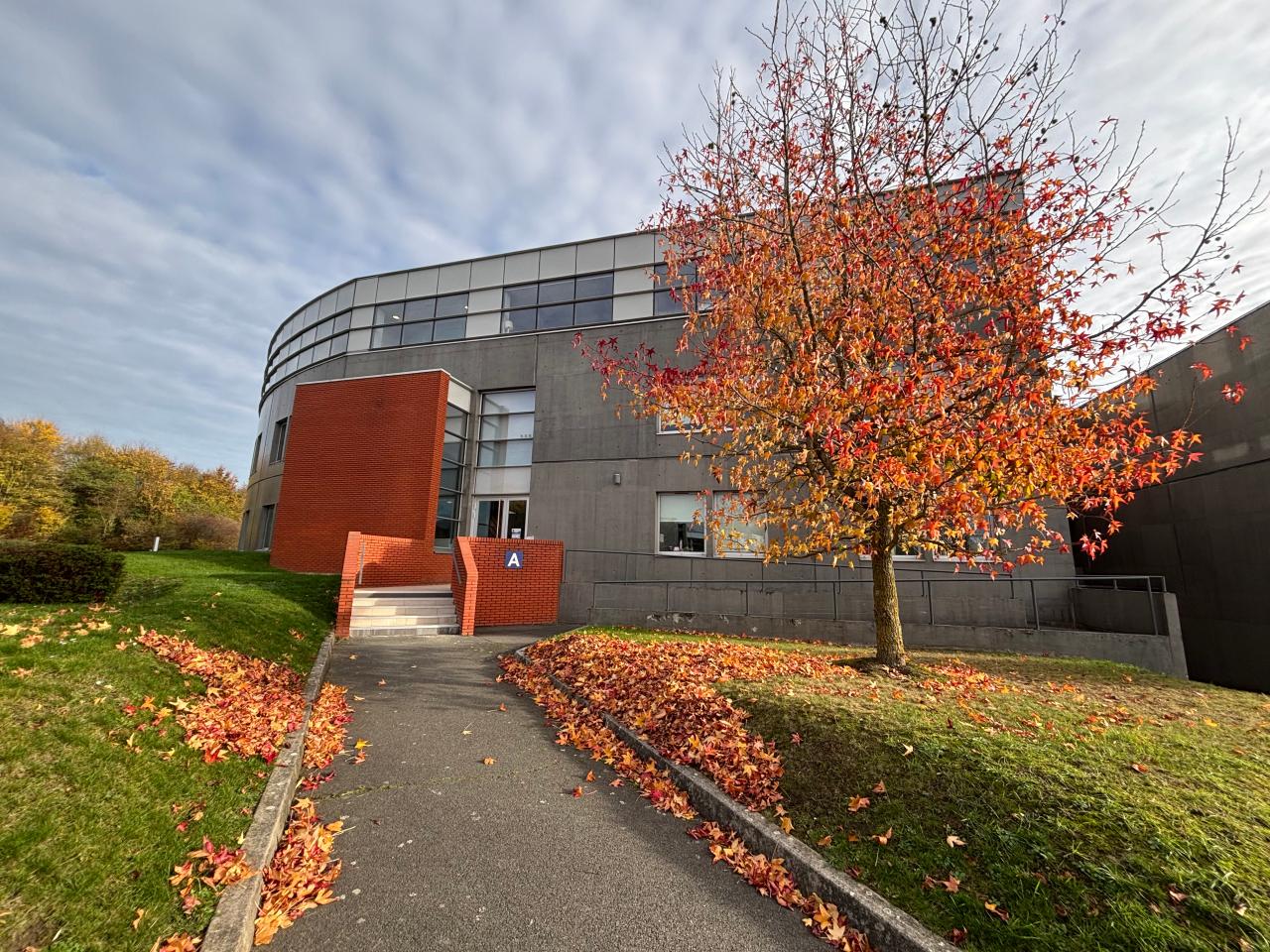 Location bureau Lambersart Nord OLBUR2536744