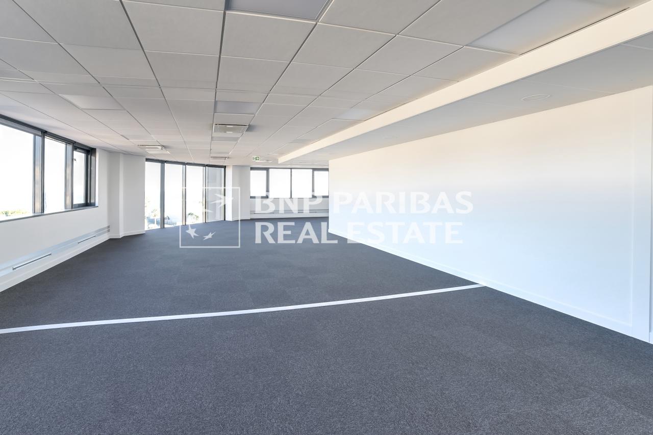 Location bureau Nice Alpes-Maritimes AOLBUR2427059_1