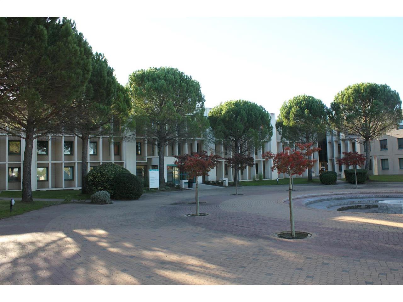 bureau Aix-en-Provence à louer 245m²