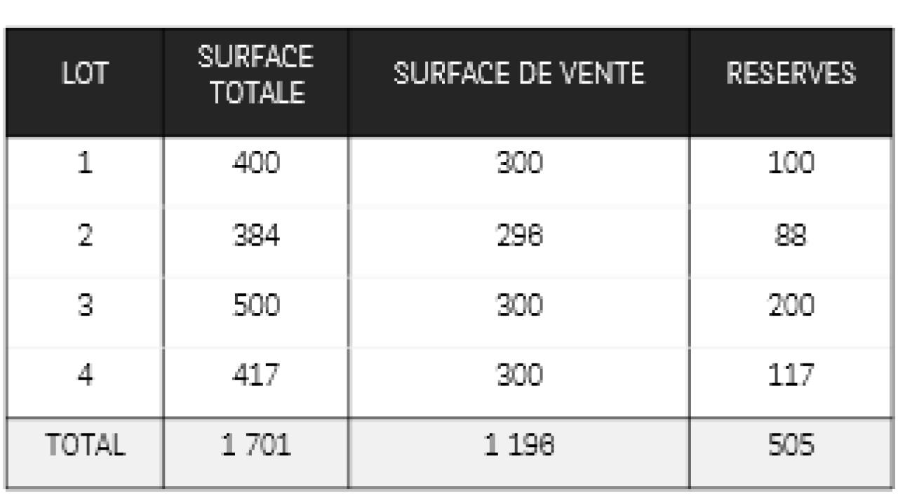 Location commerce Anglet Pyrénées-Atlantiques OLCOM2535773 1