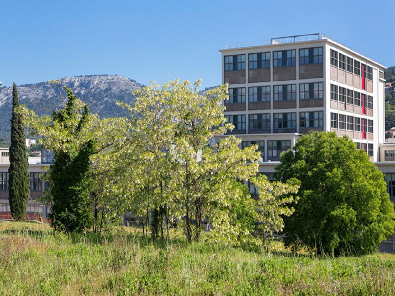 Location bureau Marseille Bouches-du-Rhône OLBUR2115195