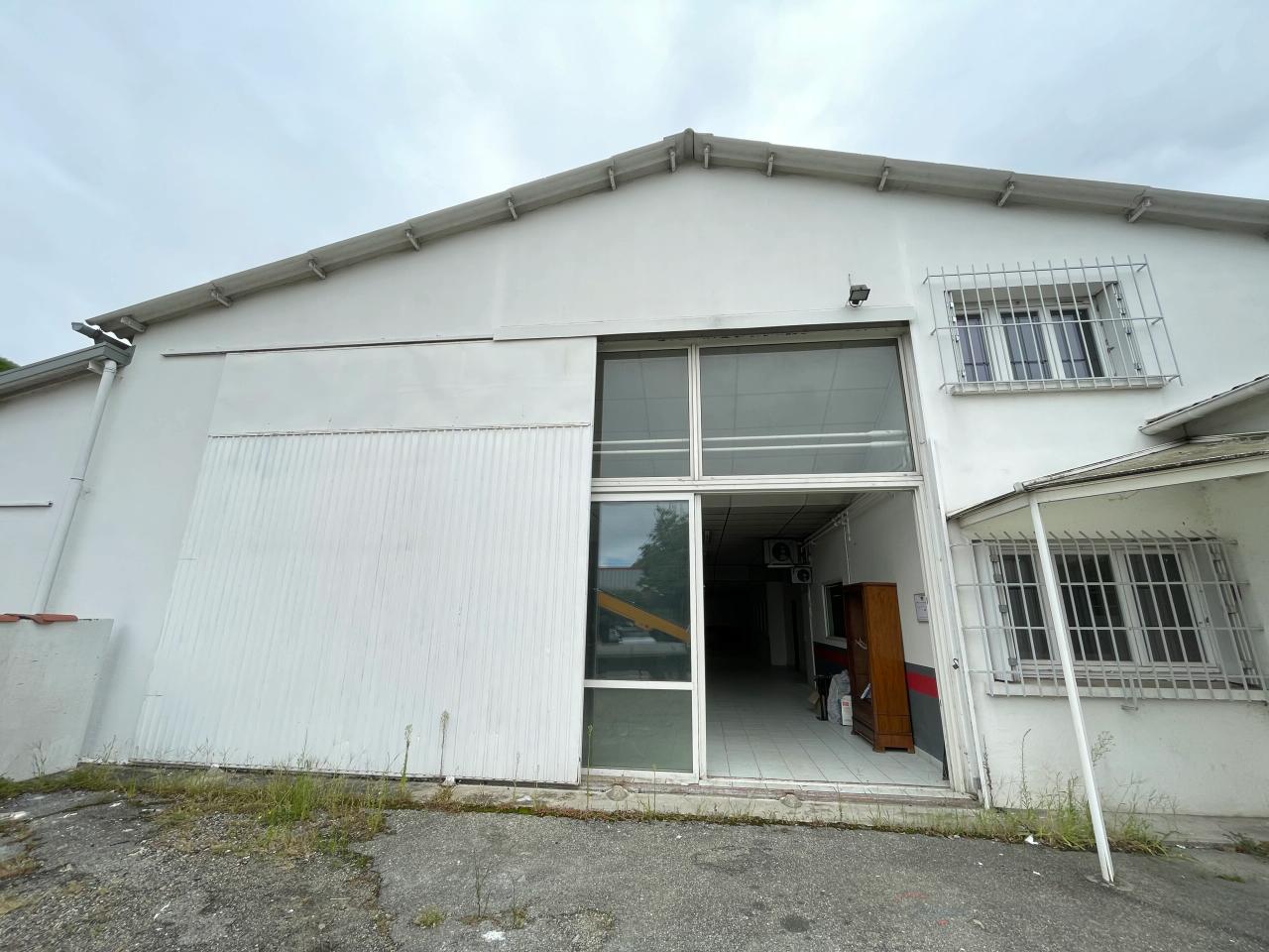 Location local d'activité Toulouse Haute-Garonne OLACT2425615