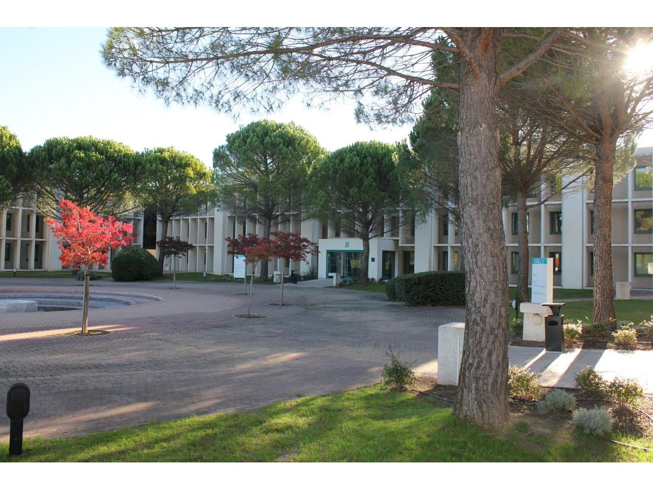 Location bureau Aix-en-Provence 245m²