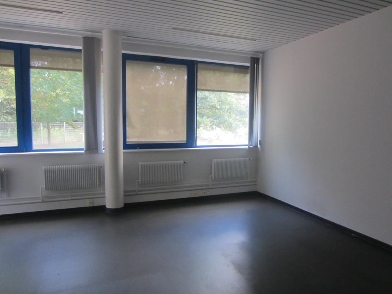 Schweighouse-sur-Moder bureau 260m² à louer