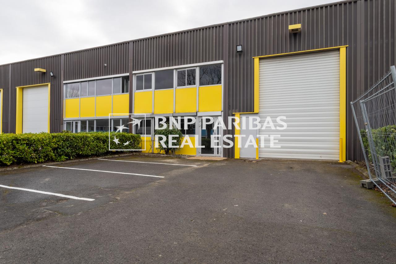 Location local d'activité Torcy Seine-et-Marne OLACT2528795
