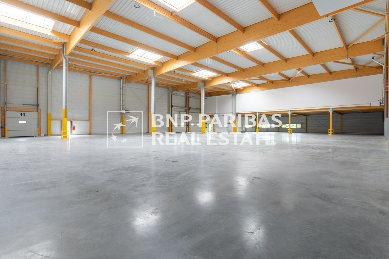 Location local d'activité Brie-Comte-Robert Seine-et-Marne OLACT2642303