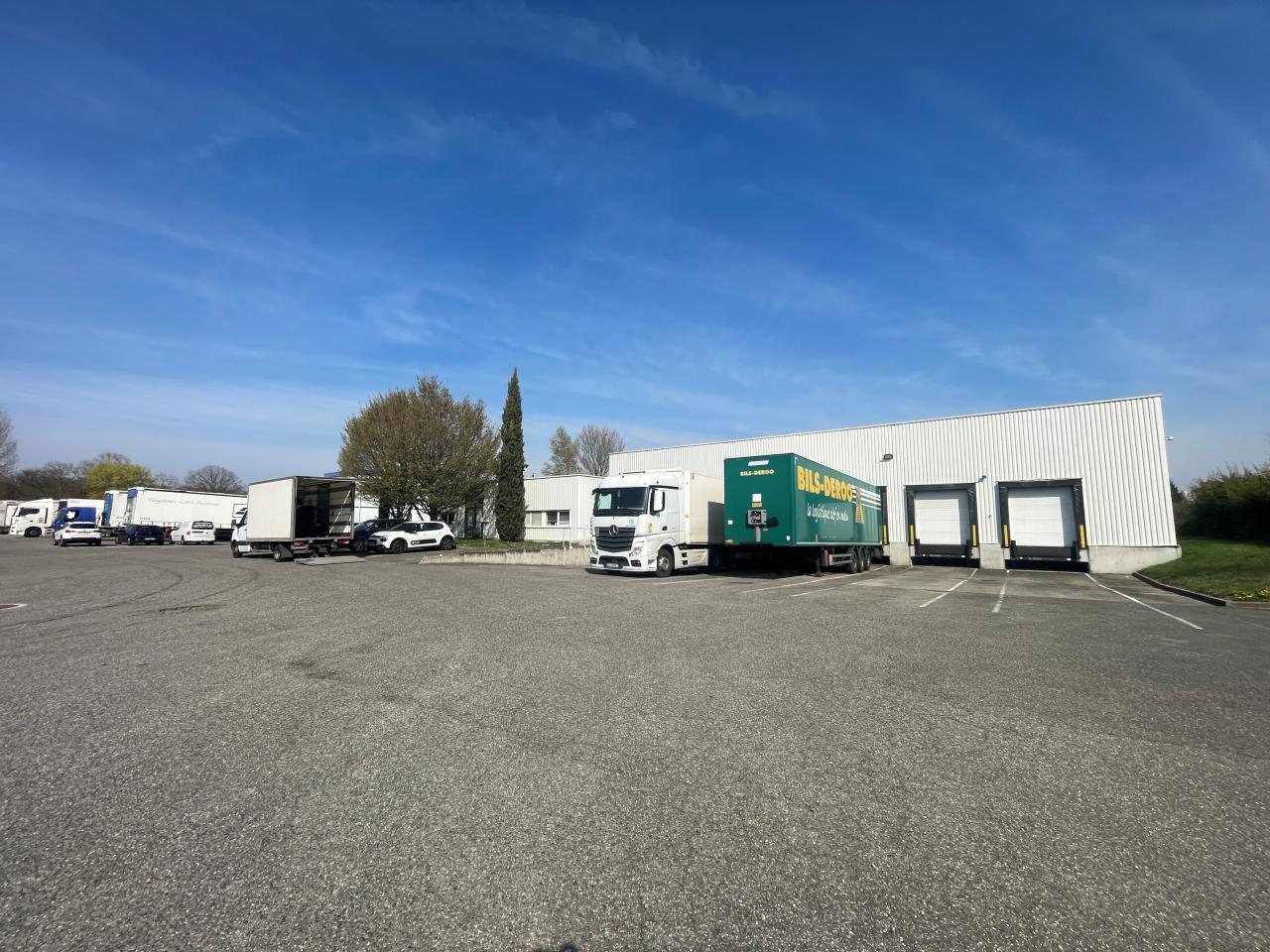 Location entrepôt Strasbourg Bas-Rhin OLLOG2645836