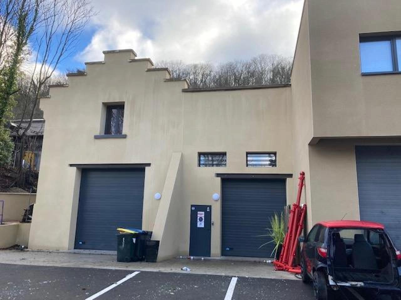 Location local d'activité Fleurieu-sur-Saône Rhône OLACT2120189 15