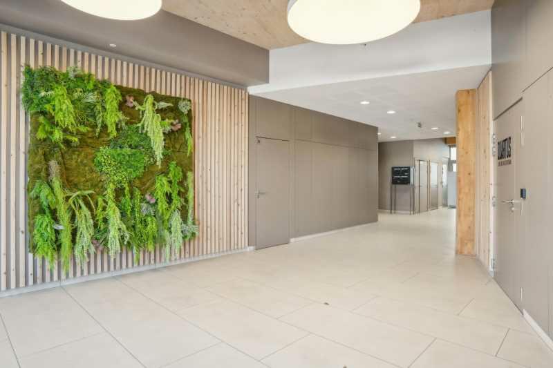 Location bureau Lyon Rhône OLBUR2423927 2