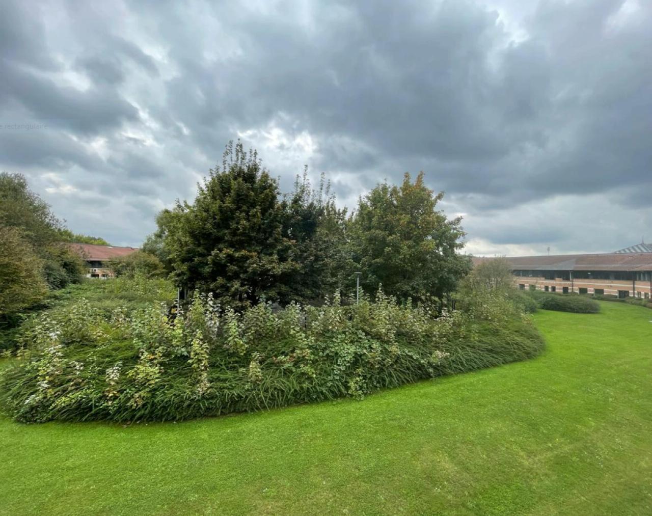 Vente bureau Villeneuve-d'Ascq Nord OVBUR2529072 2