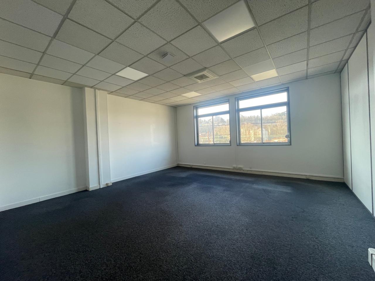 Vente bureau Lyon Rhône OVBUR2530030 8