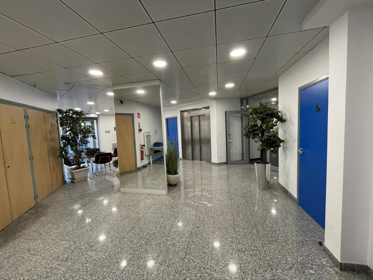 Location bureau Illkirch-Graffenstaden Bas-Rhin OLBUR2111260 2