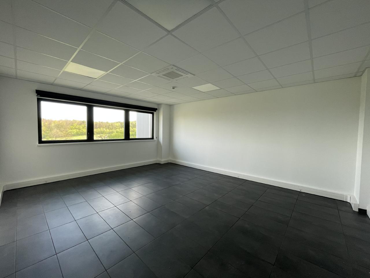 Location entrepôt classe b Monswiller Bas-Rhin OLLOG2422157 13