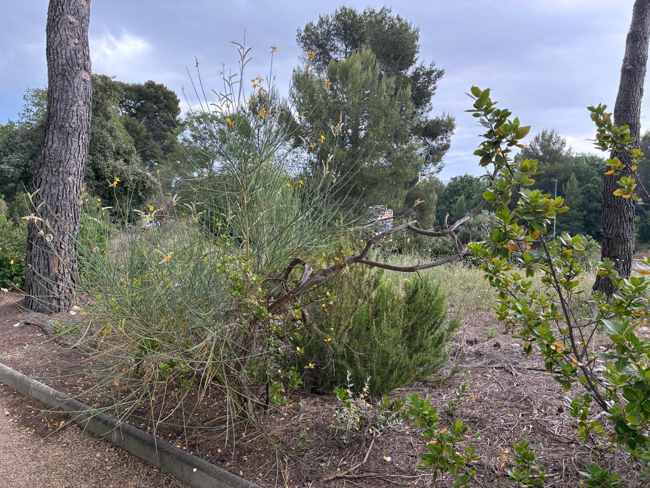 Location bureau Aix-en-Provence Bouches-du-Rhône OLBUR2114976 28