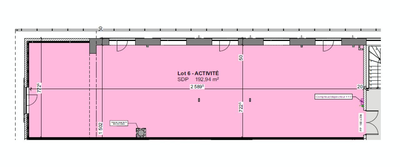 Vente local d'activité Chaponost Rhône OVACT2424775 8