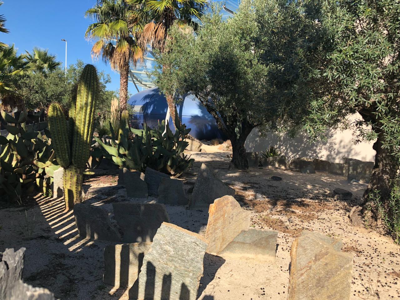 Location bureau Mauguio Hérault OLBUR2428433 7