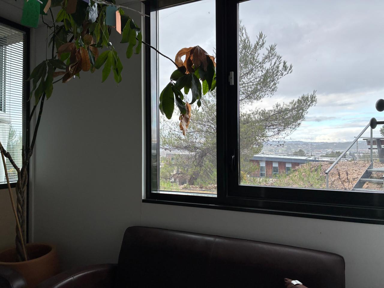 Location bureau Aix-en-Provence Bouches-du-Rhône OLBUR2309247 22