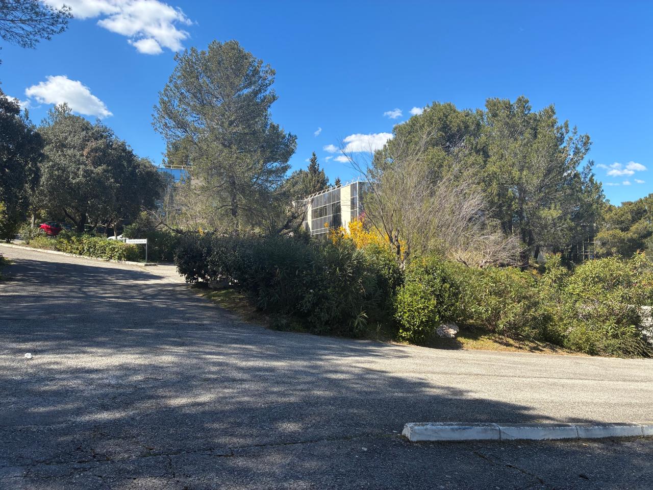 Location bureau Aix-en-Provence Bouches-du-Rhône OLBUR2309187 6