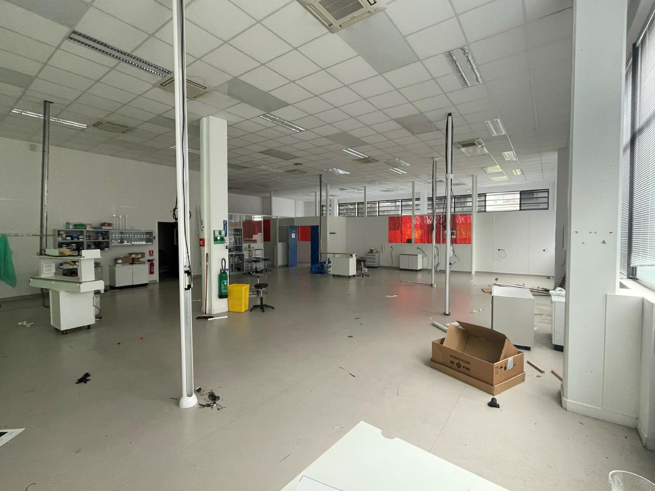Location local d'activité Bagneux Hauts-de-Seine OLACT2421146 6