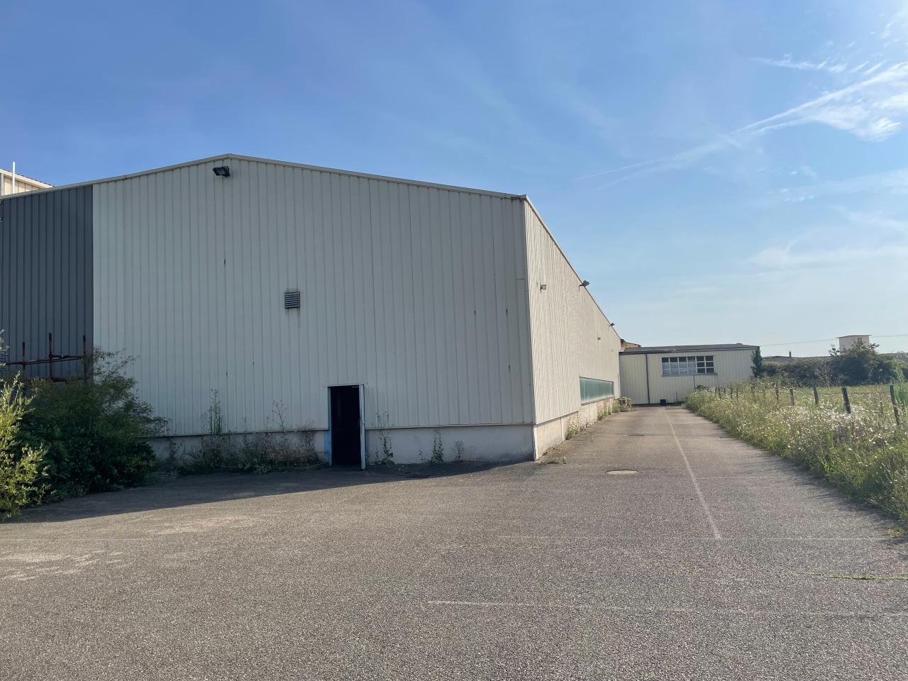 Vente local d'activité Jassans-Riottier Ain OVACT2425581 18