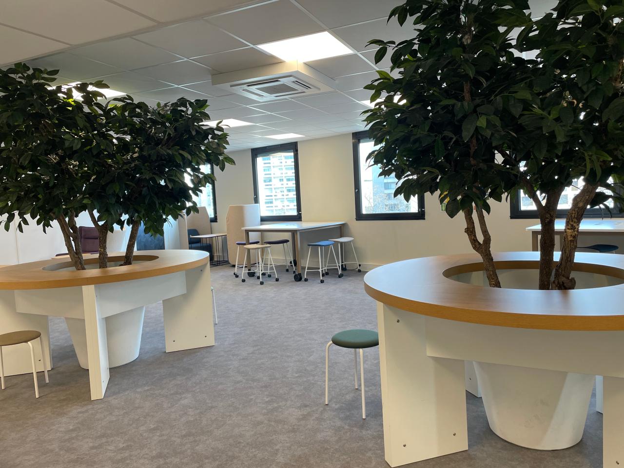 Location bureau Lyon Rhône OLBUR2638782 9