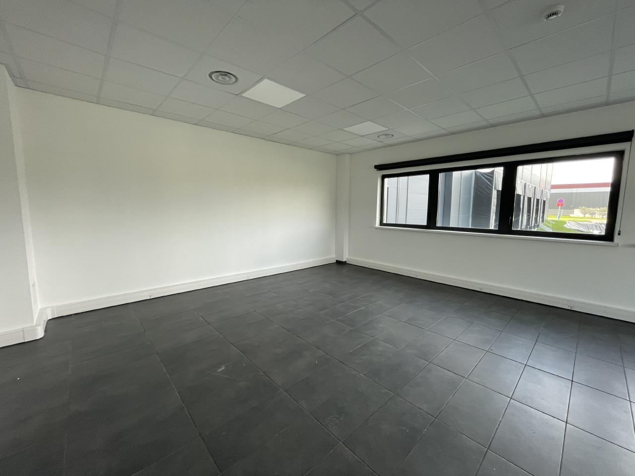 Vente entrepôt classe b Monswiller Bas-Rhin OVLOG2534847 19