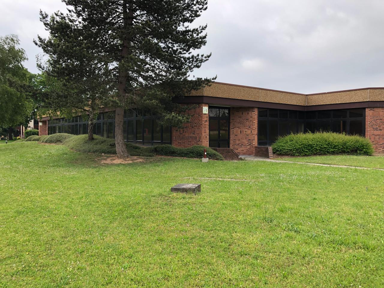 Location local d'activité Lingolsheim Bas-Rhin OLACT2640670