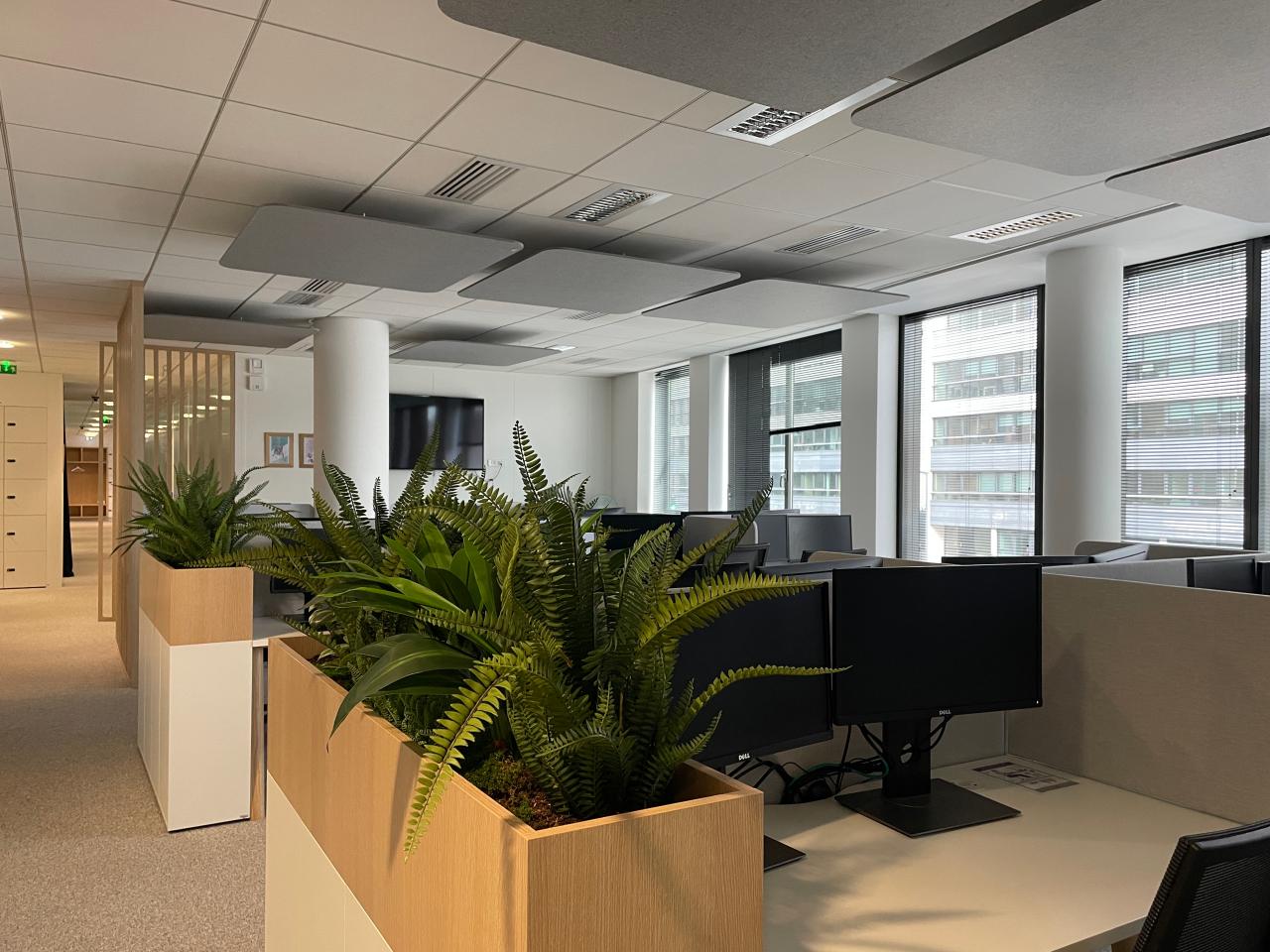 Location bureau Lyon Rhône OLBUR2537852 12