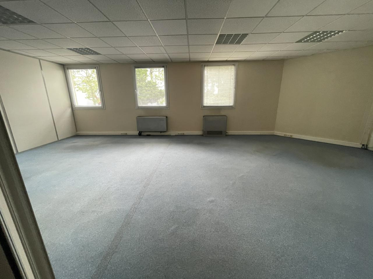 Location local d'activité Décines-Charpieu Rhône OLACT2313321 9