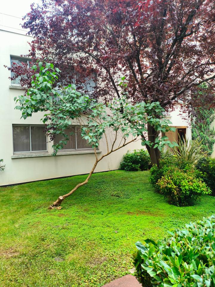 Location bureau Paris OLBUR2424796 6