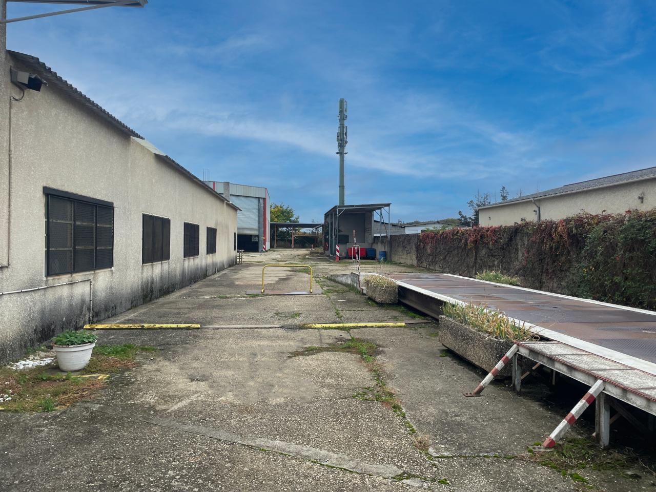 Vente local d'activité Saint-Laurent-de-Mure Rhône OVACT2536458 5