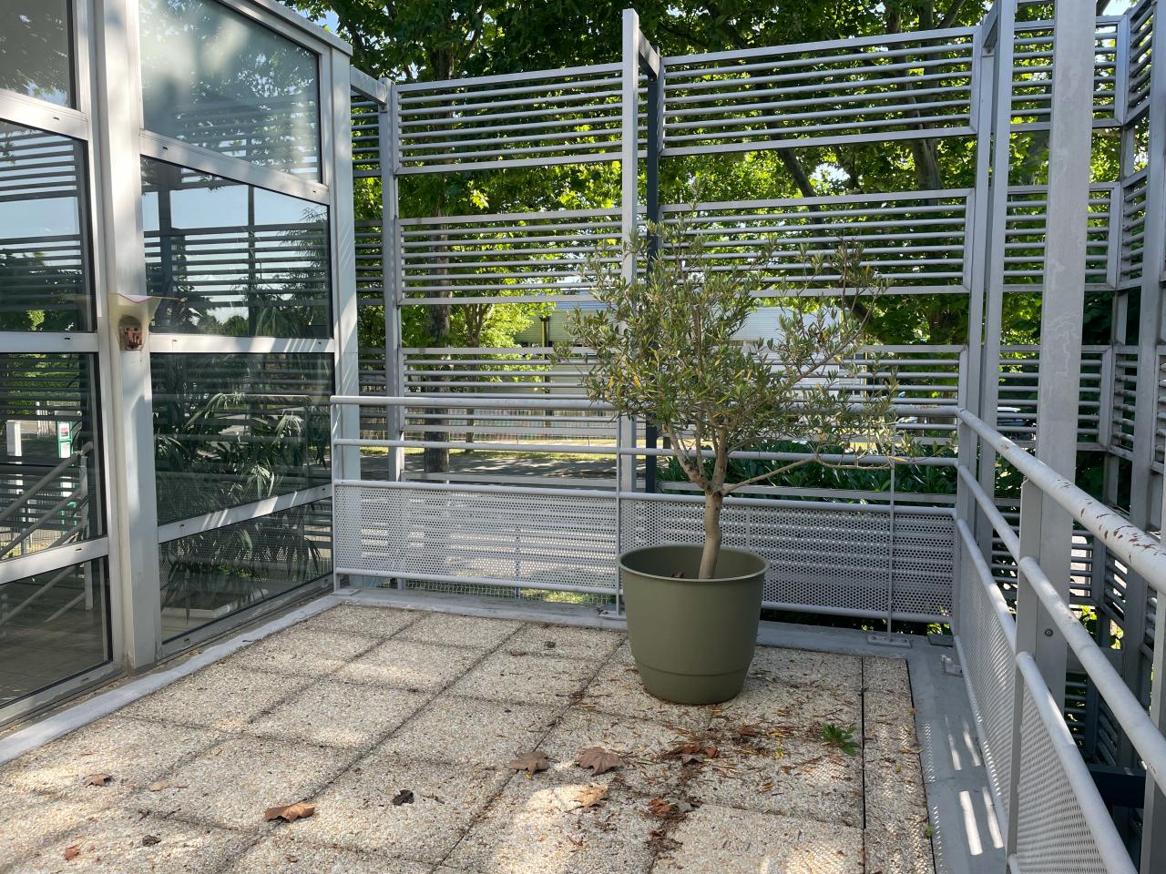 Location local d'activité Bondoufle Essonne OLACT2533118 2