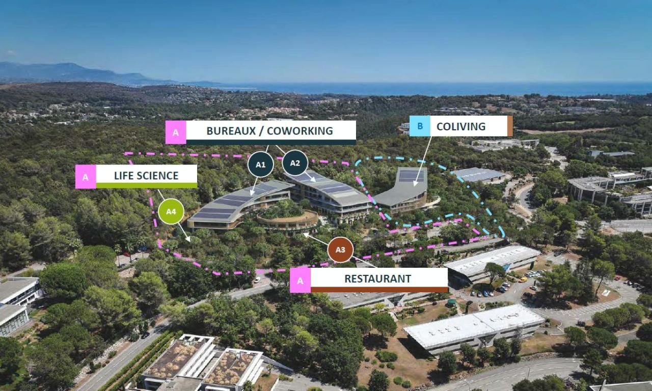 Location bureau Biot Alpes-Maritimes OLBUR2314783 6
