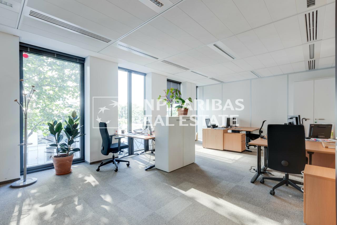 Location bureau Arcueil Val-de-Marne OLBUR2104454 13
