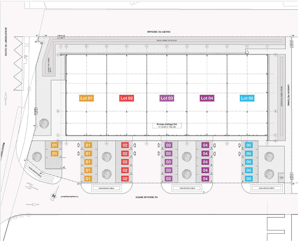 Location local d'activité Geispolsheim Bas-Rhin OLACT2316730 5
